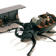 Image for article titled Cyborg taxidermy transforms beetles into airplanes and buses